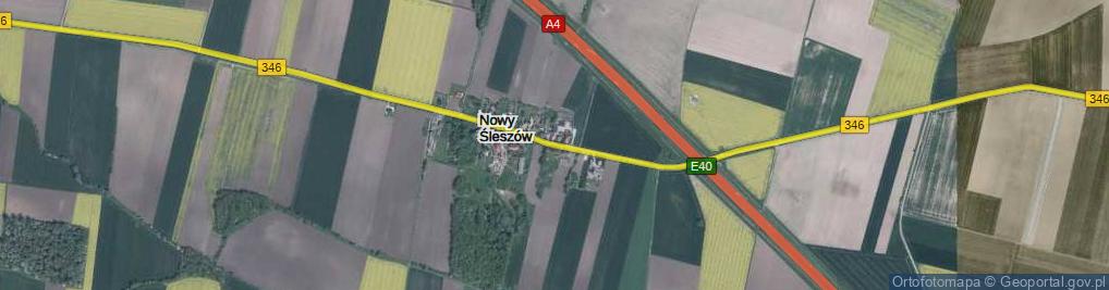 Zdjęcie satelitarne Nowy Śleszów ul.